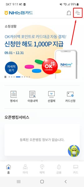농협 기프트카드 잔액 조회 방법 - 카드베리뷰 농협 기프트카드 잔액 조회 방법 - 카드베리뷰